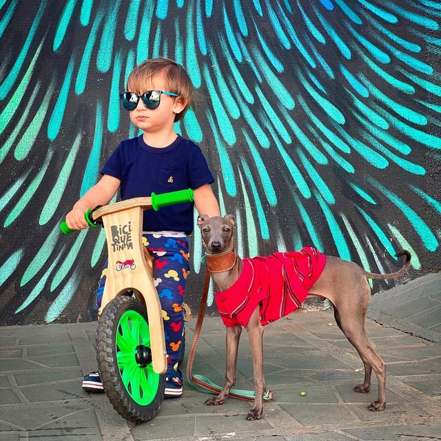 Menino com Biciquetinha ao lado de cachorro galgo
